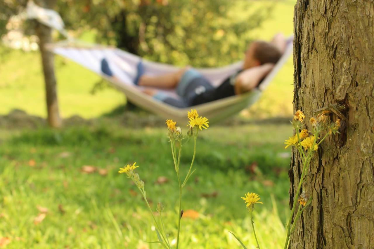 Apartmán Urlaub Am Zechnerhof Straßburg in Kärnten Exteriér fotografie
