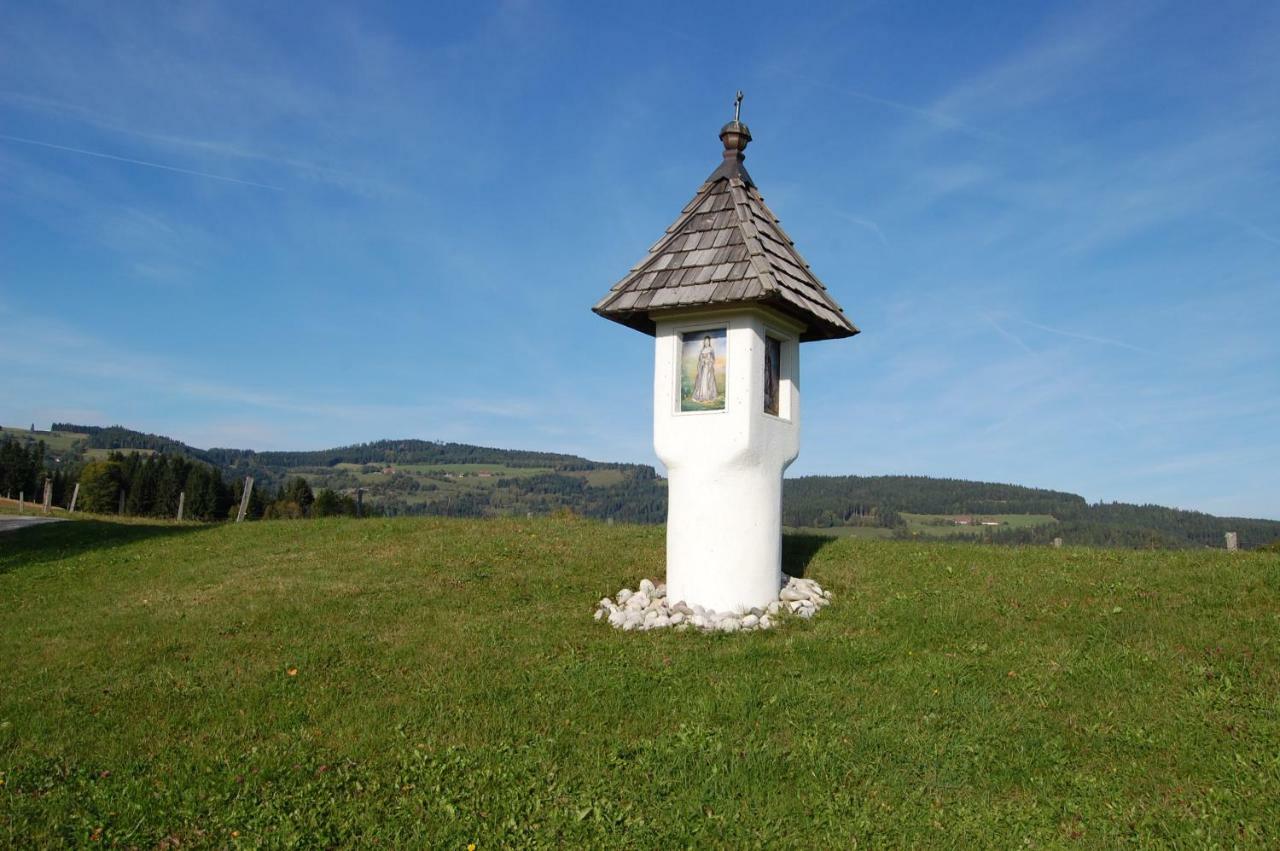 Apartmán Urlaub Am Zechnerhof Straßburg in Kärnten Exteriér fotografie